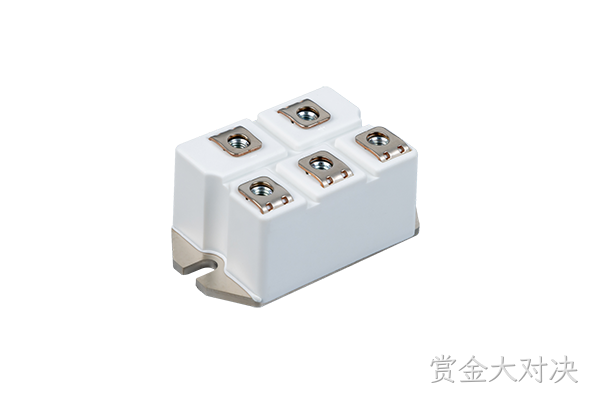 赏金大对决 Rectifier Bridge Module